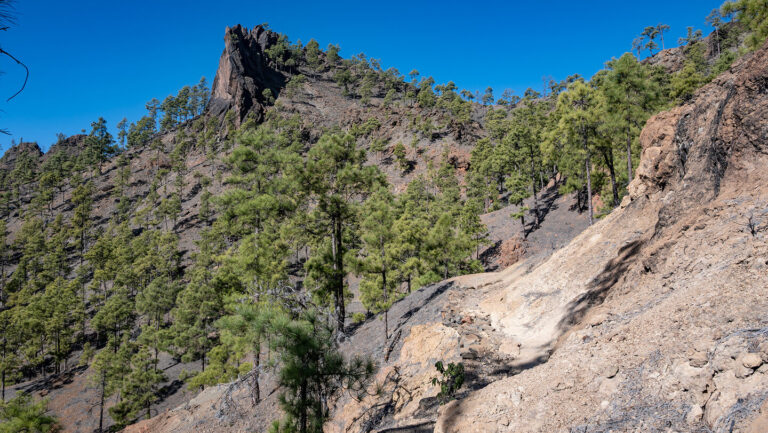Gran Canaria mit Rucksack erleben – Las Palmas bietet echte Hostels, während die Wanderpfade der Insel kostenlos und gut markiert sind.