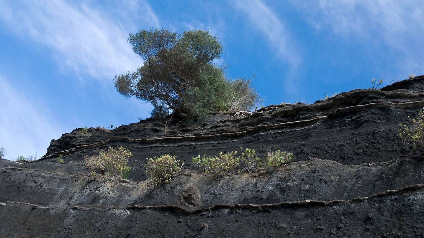Lavaschichten der Caldera de Bandama auf Gran Canaria.