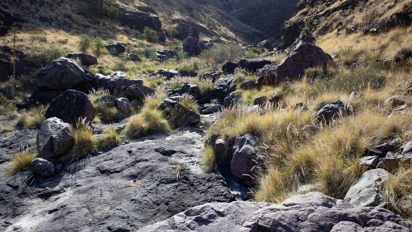 Das Bachbett des Barranco del Risco – die Schluchtenwanderung führt oft direkt durch das Flussbett.