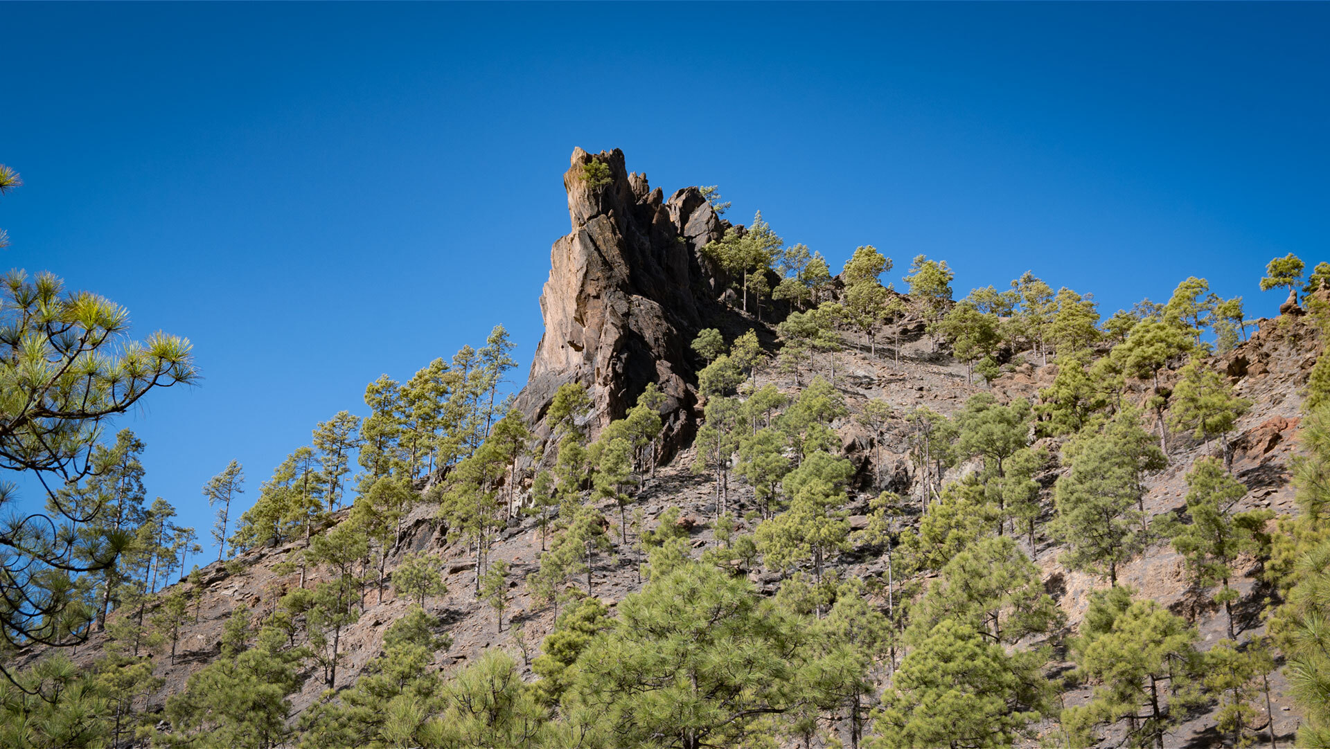 Der S-60 schlängelt sich durch Berge und Kiefern des Parque Natural de Pilancones.