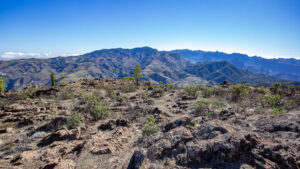 Ausblick über die Berglandschaft Gran Canarias vom Tamadaba.