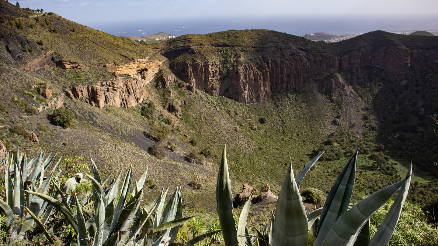 Schroffe Felsformationen säumen den Kraterkessel der Caldera de Bandama