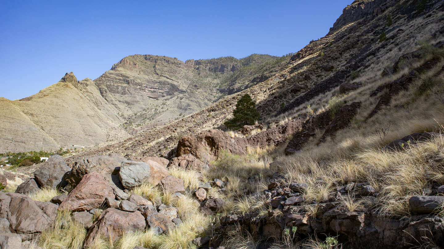 Blick auf den Roque Faneque vom Barranco de Risco, Naturpark Tamadaba.
