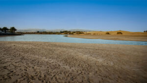 Lagune La Charca de Maspalomas.