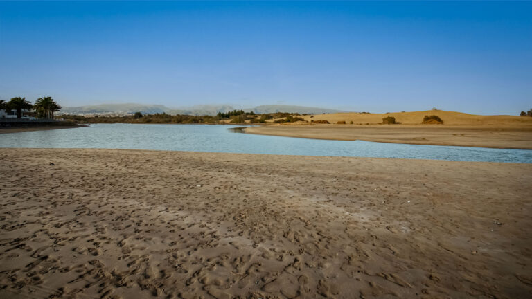 Lagune La Charca de Maspalomas.