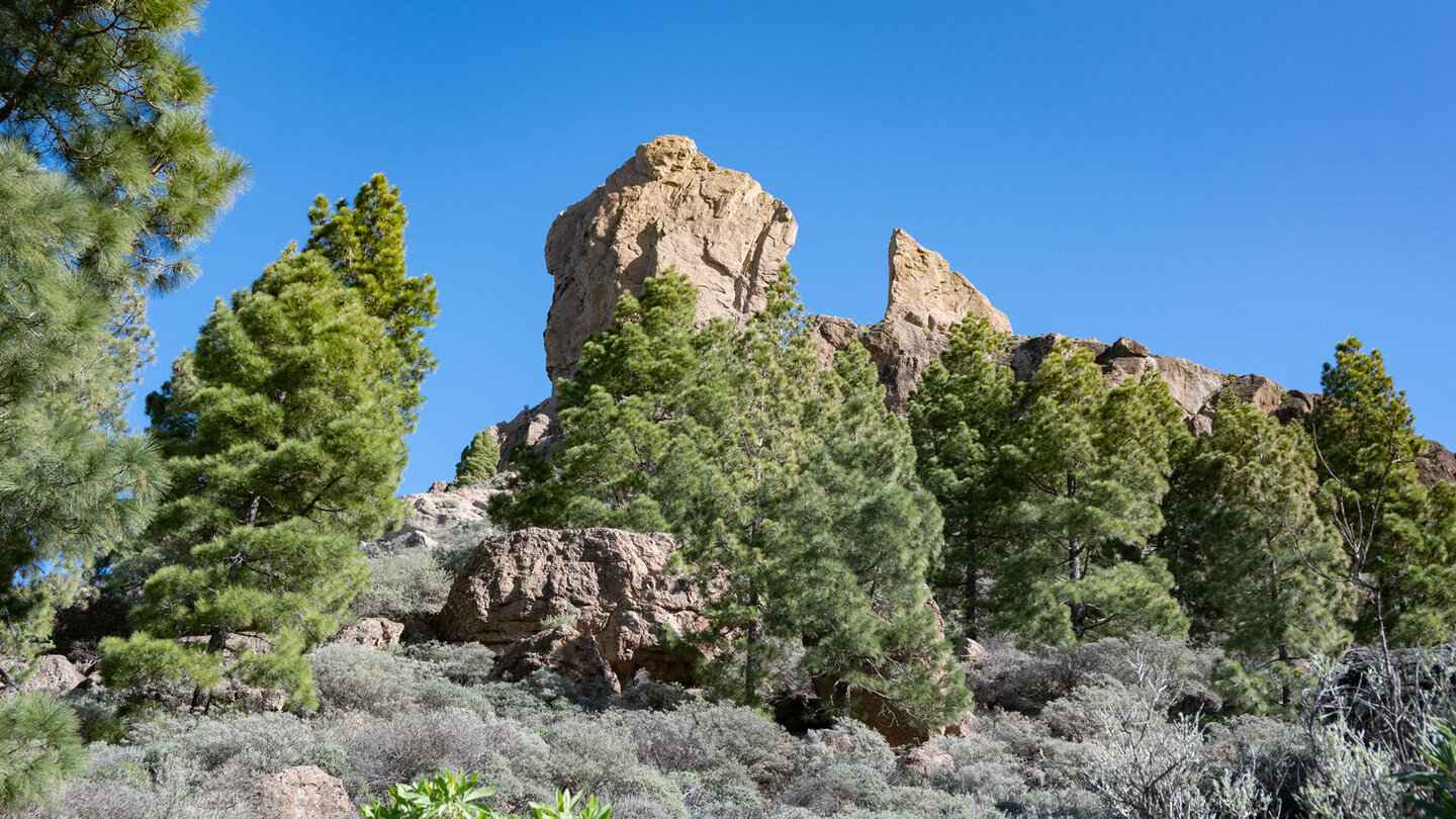 Bei der Umwanderung des Plateaus zeigt sich der Roque Nublo aus immer neuen Perspektiven.