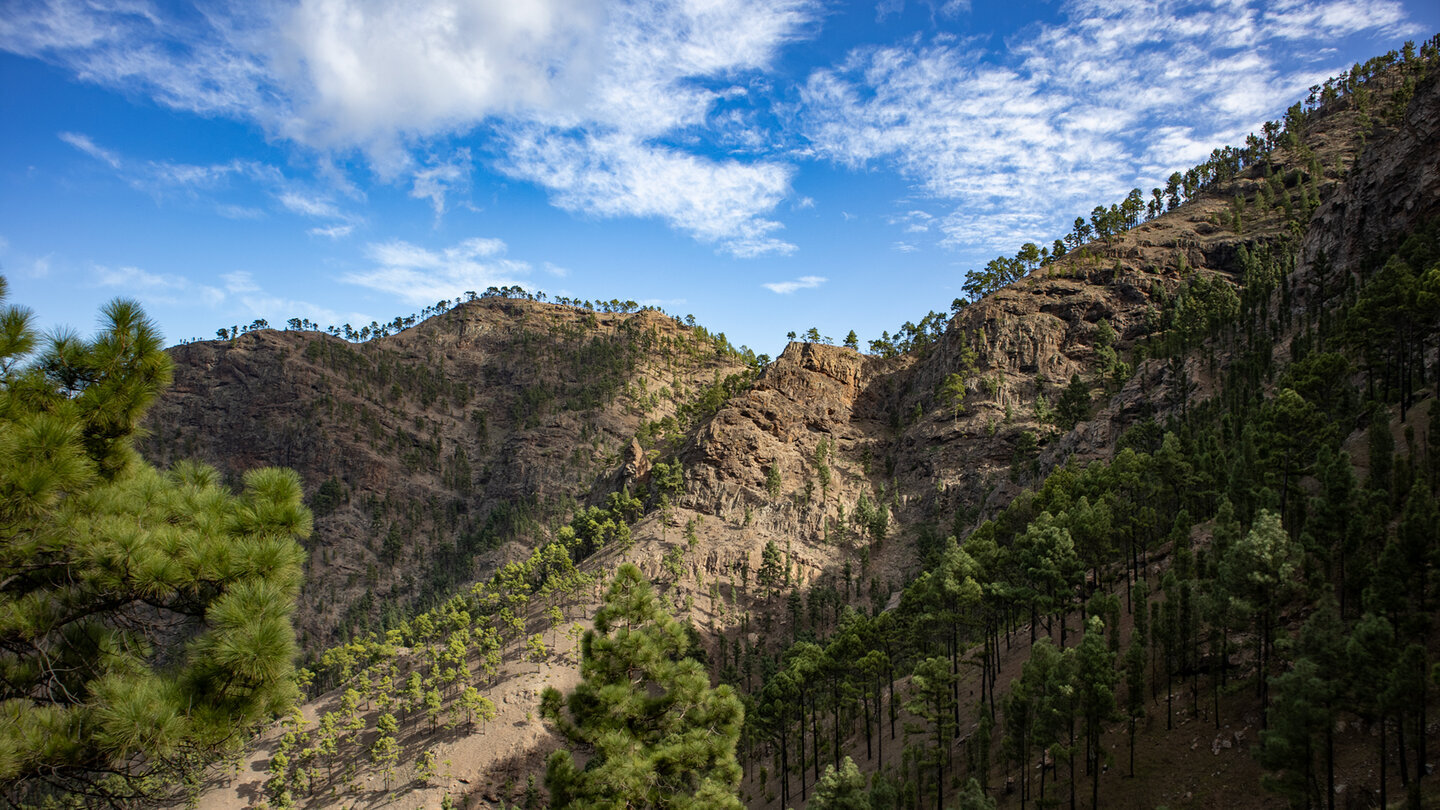 Steile Bergflanken prägen den Naturpark Tamadaba – schroffes Gelände, das die Wildheit dieser Bergregion Gran Canarias eindrucksvoll zeigt.