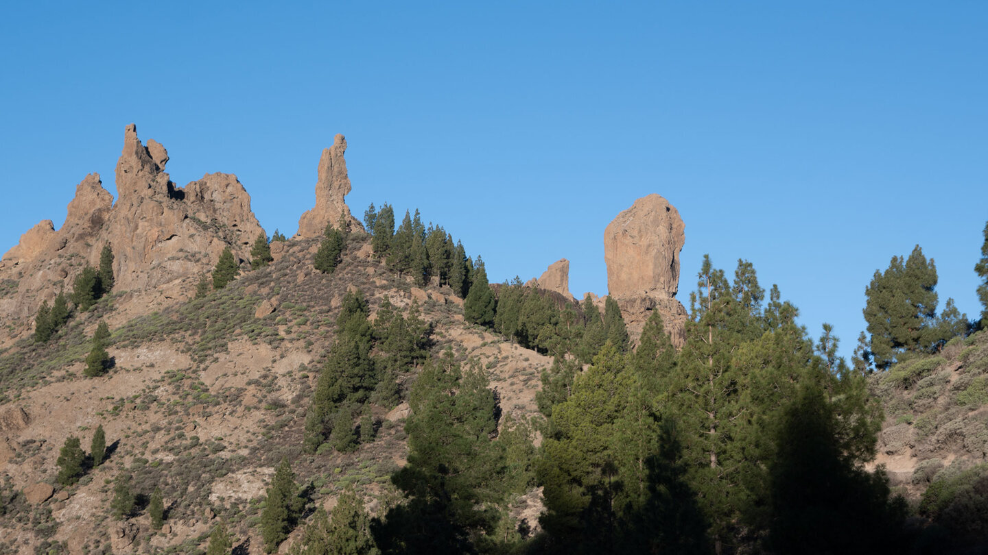 Blick auf skurrile Felsformationen mit El Fraile, Rana und Roque Nublo.