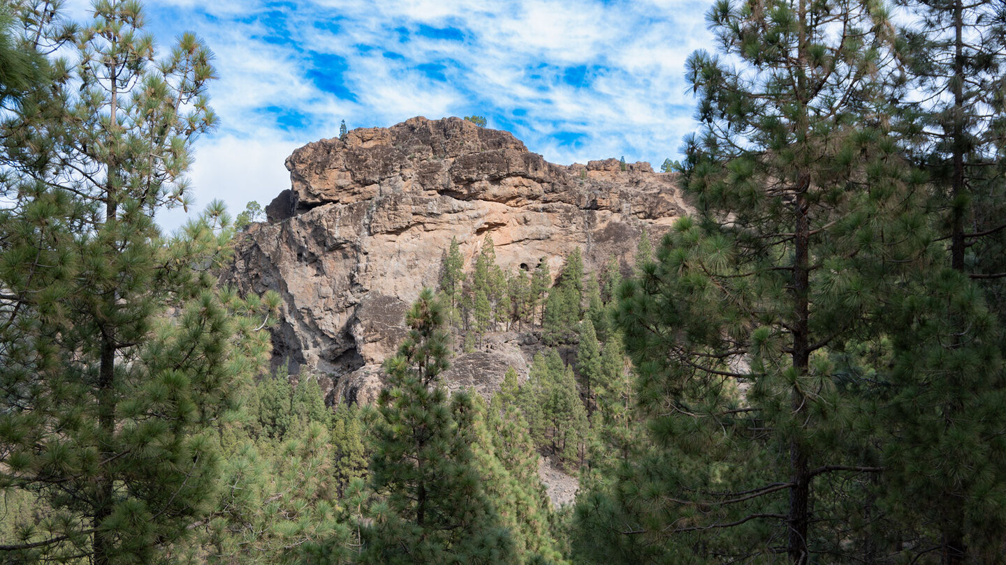 Zwischen den Kiefern öffnet sich immer wieder der Blick auf schroffe Felsklippen.