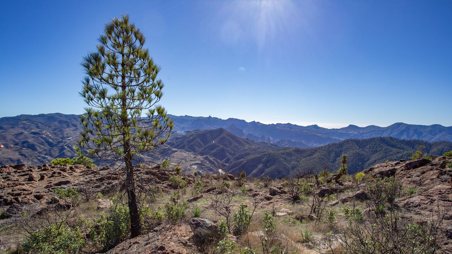 Ausblick von den Gipfeln des Tamadaba bis zur weit entfernten Felsnadel des Roque Nublo.