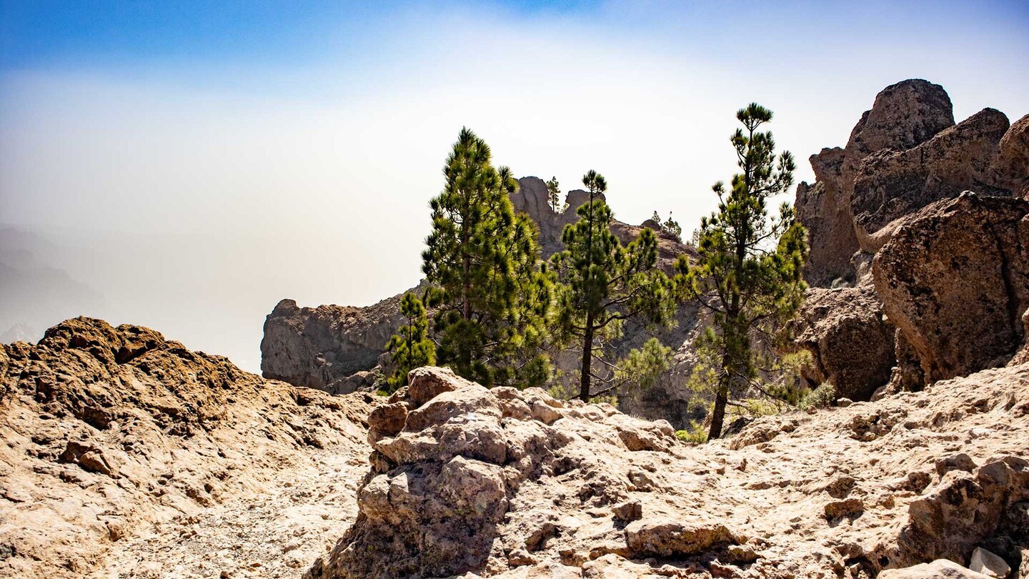 Das felsige Gipfelplateau des El Campanario