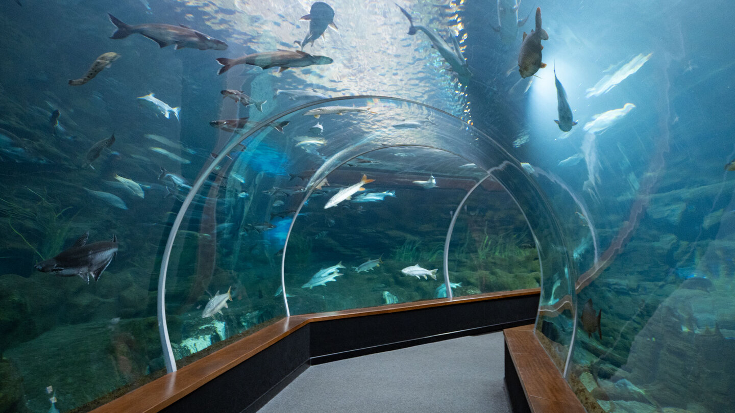Aquarium Poema del Mar, Hafen von Las Palmas.