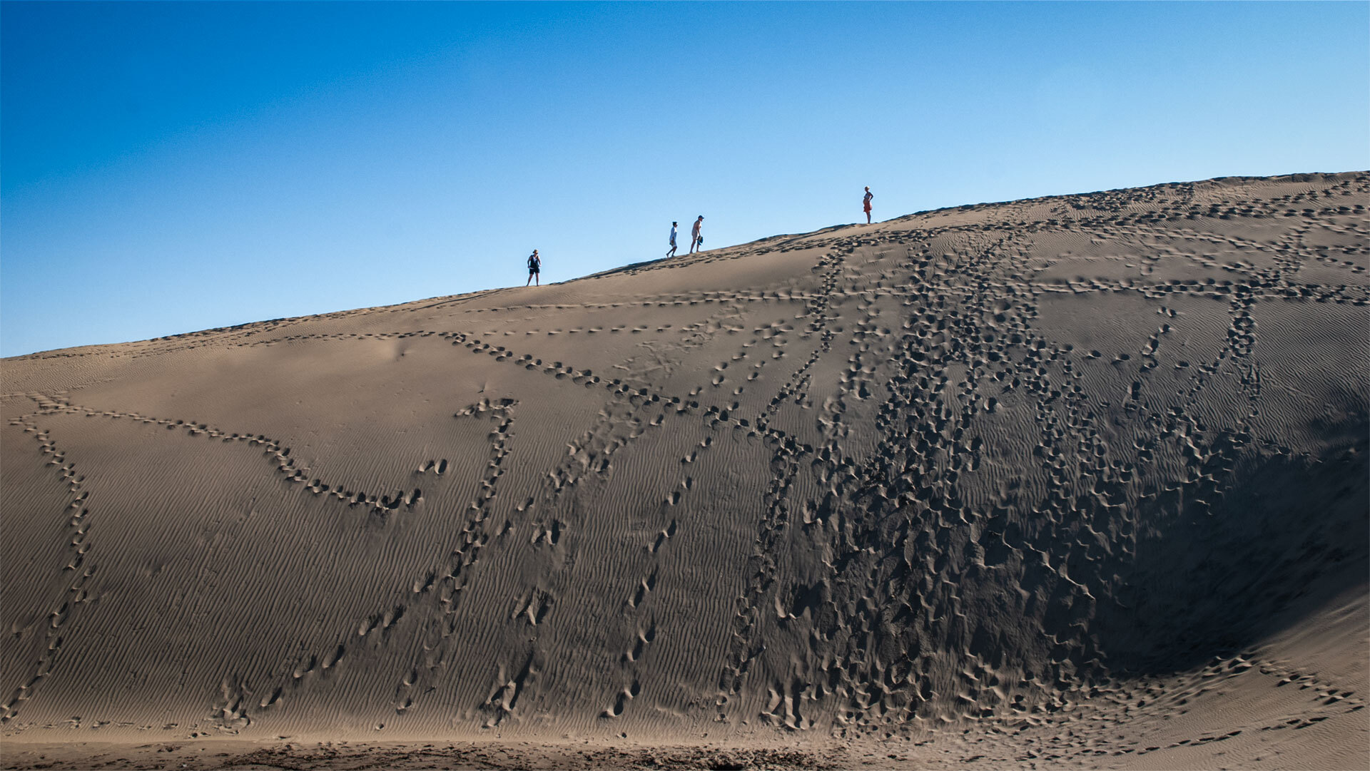 Die Dünen von Maspalomas