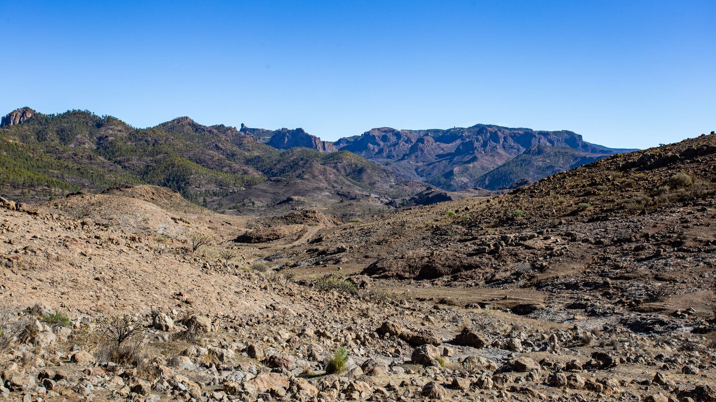 Über die Hochebene der Majada Alta hinweg reicht der Blick bis zum Roque Nublo.