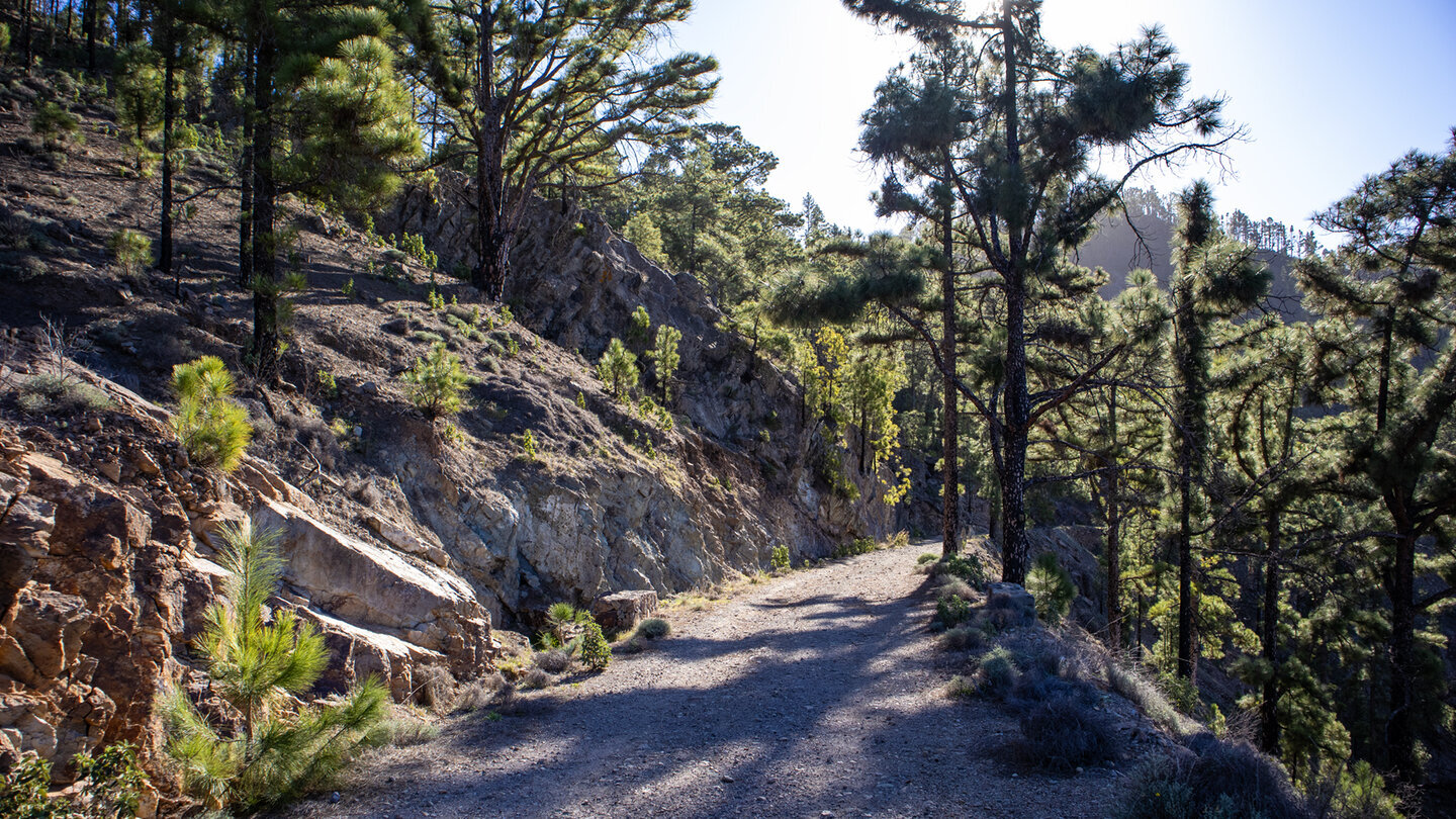Die lange Piste vom Forsthaus Tirma durch den Naturpark Tamadaba.