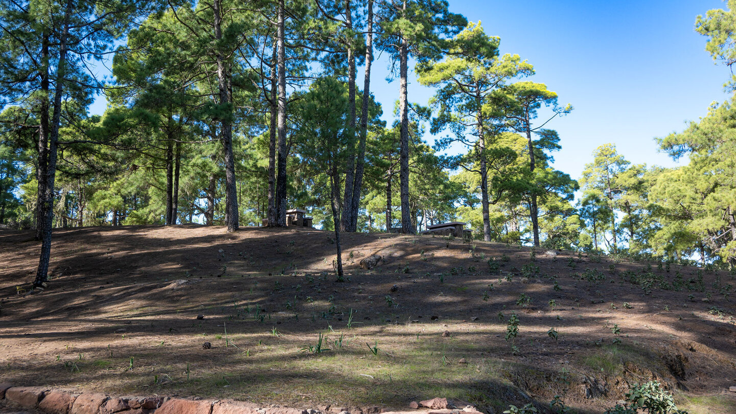 Rast- und Campingplatz Llanos de la Mimbre, Naturpark Tamadaba.