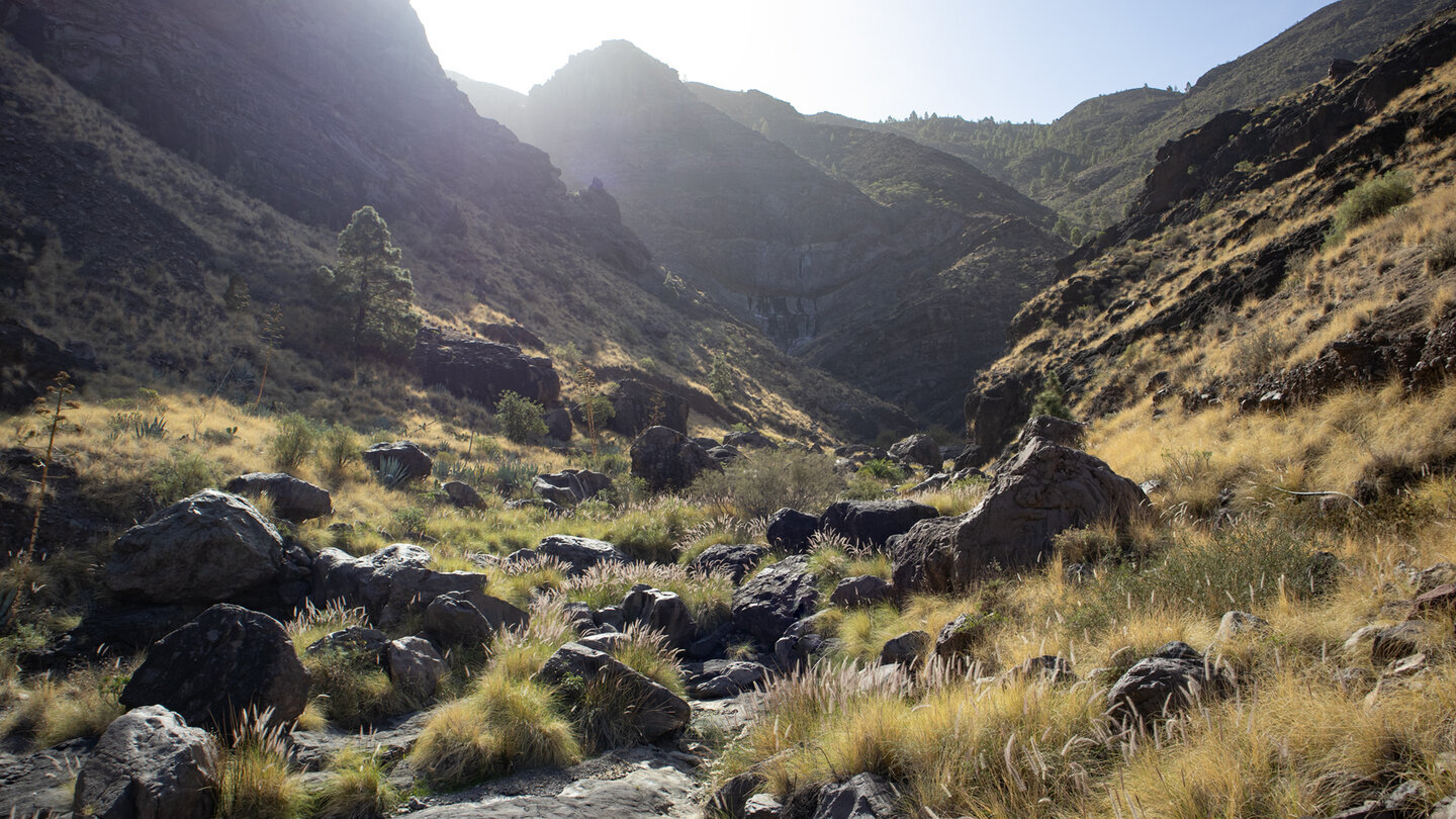Wanderung durchs Barranco del Risco