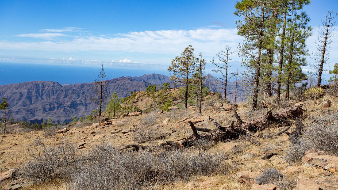 Der Rundweg am Gipfelplateau des Tauro bietet verschiedene Perspektiven auf die Bergregion Gran Canarias.