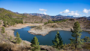 Kiefernwald umgibt den Stausee Presa de las Niñas im Bergland Gran Canarias.