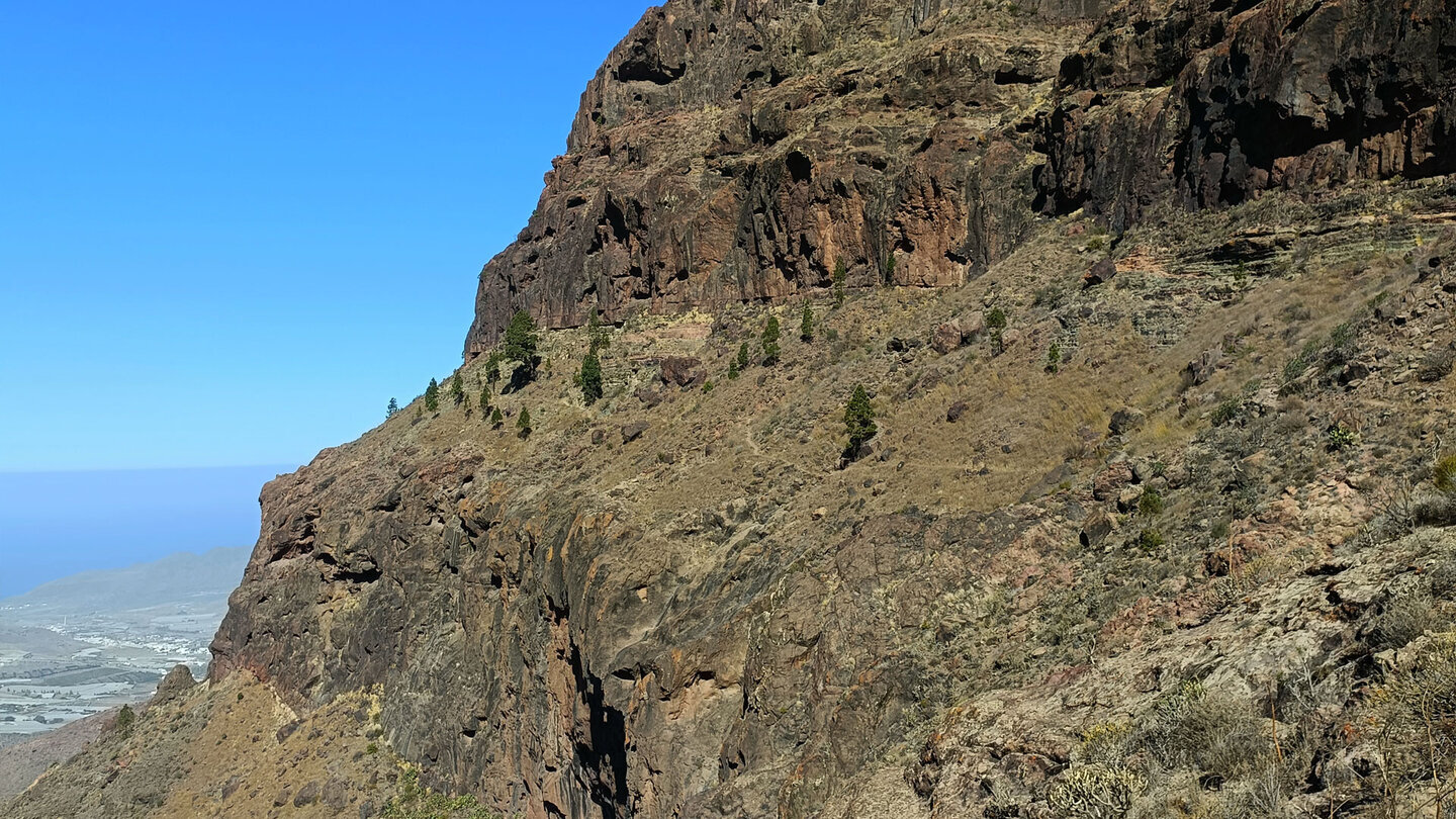 Der Wanderweg folgt der Terrasse an den Los Laderones – ein schmaler Pfad, der sich an die schroffe Felswand schmiegt.