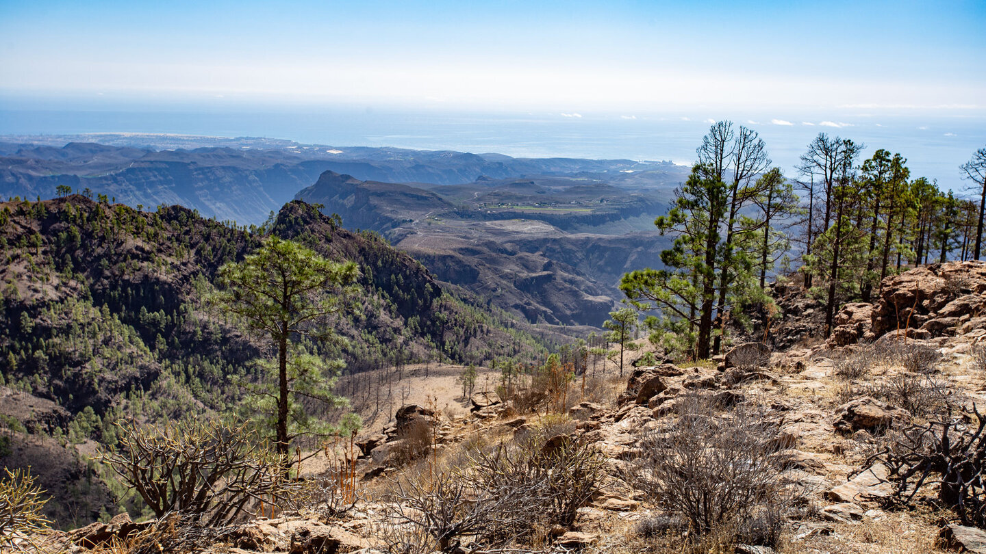 Die Rundtour um den Montaña de Tauro bietet einen weiten Blick in den Süden Gran Canarias.