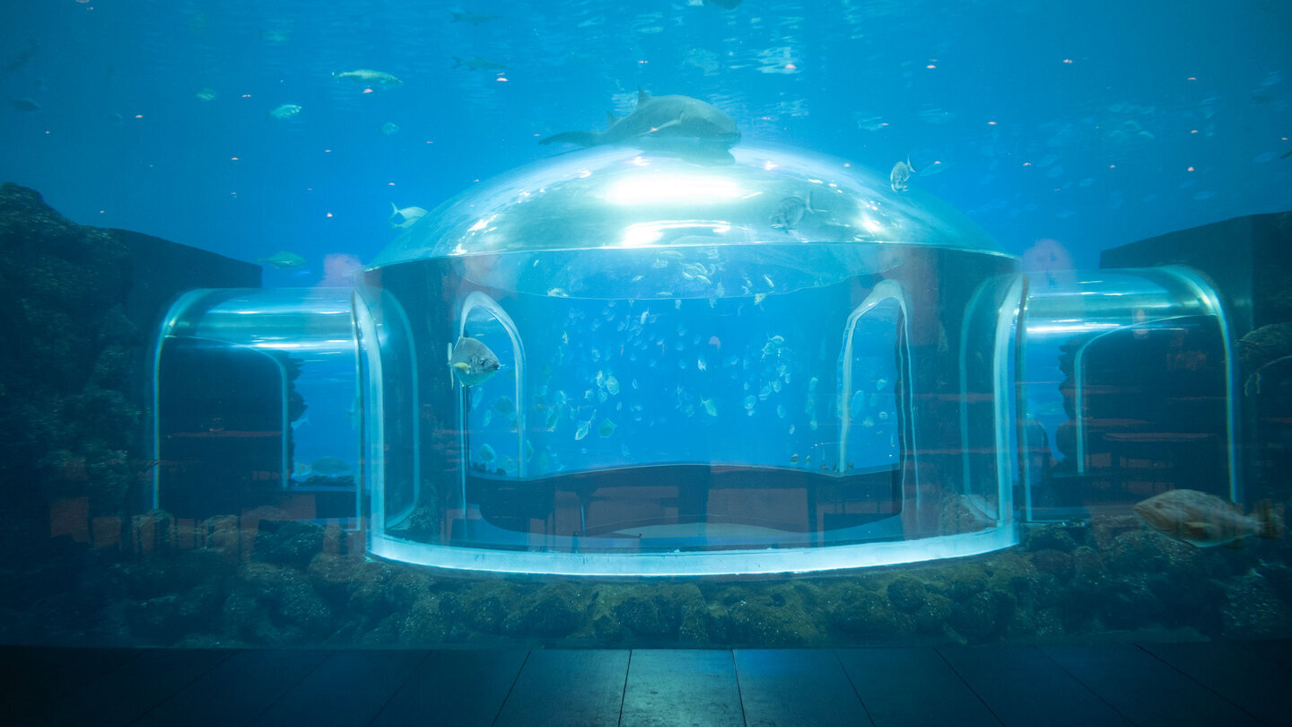 Unterwassertunnel, Poema del Mar, Las Palmas.