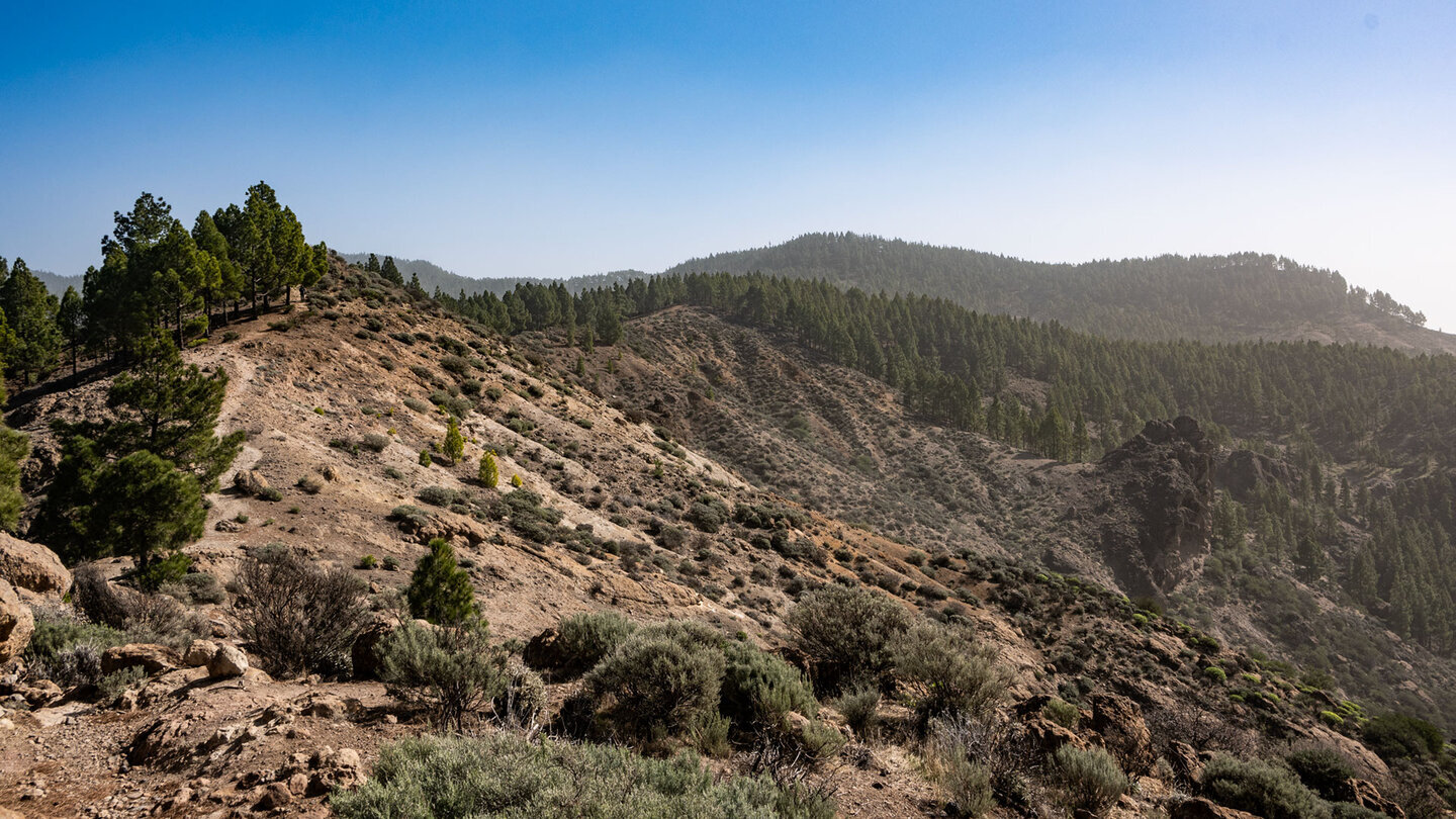 Wanderpfad zum El Montañon oberhalb der Schlucht Barranco de Meca