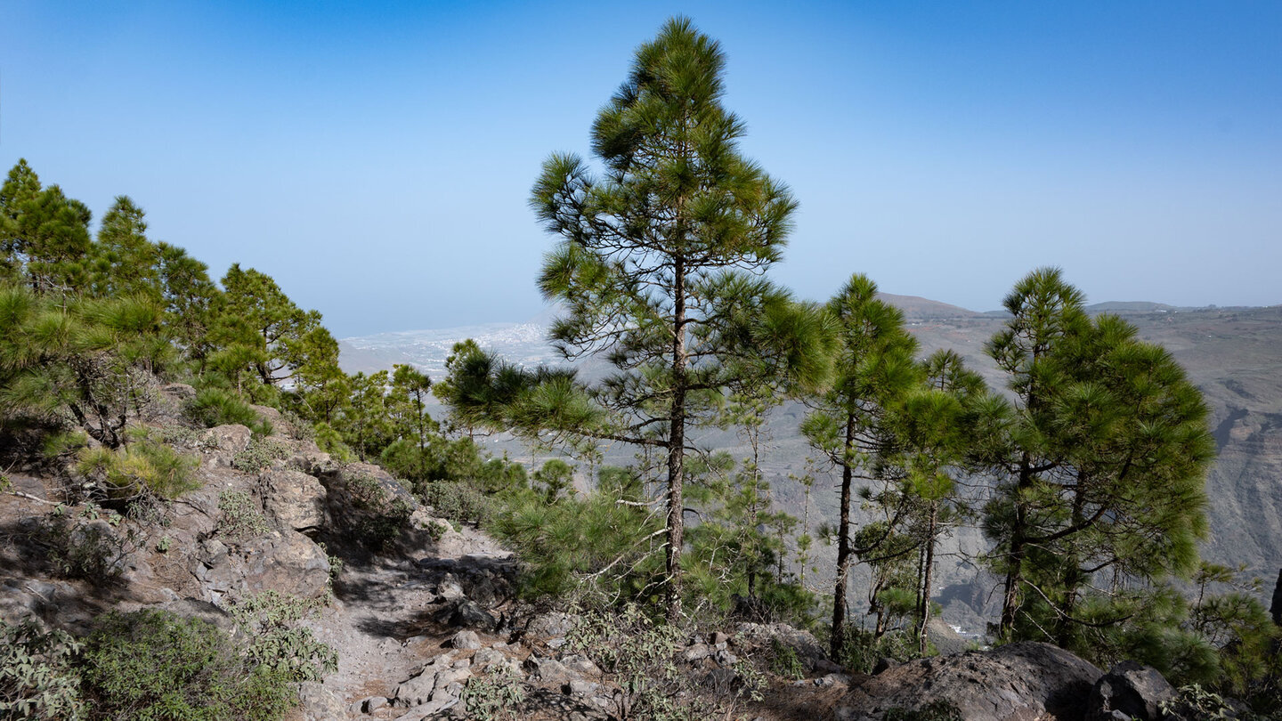 Der Wanderweg windet sich in Serpentinen durch die Steilhänge des Tamadaba.
