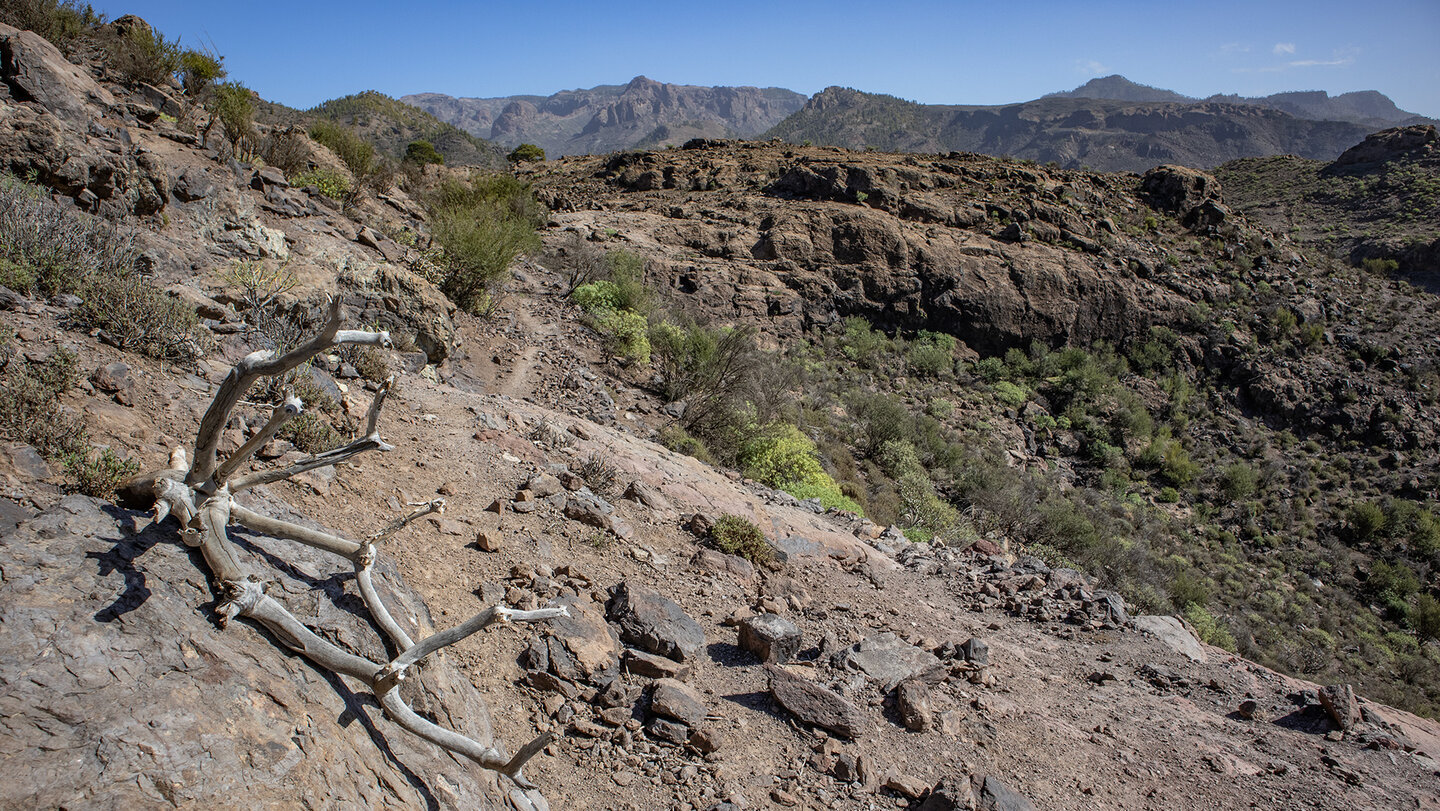 Die Wanderroute verläuft über das Hochplateau beim Barranquillo Morro de Gonzalo im Bergland Gran Canarias.