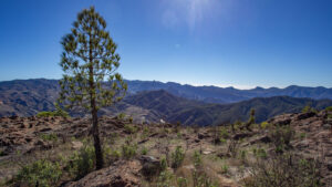 Das Panorama von den Gipfeln des Tamadaba zeigt die weite Berglandschaft Gran Canarias.