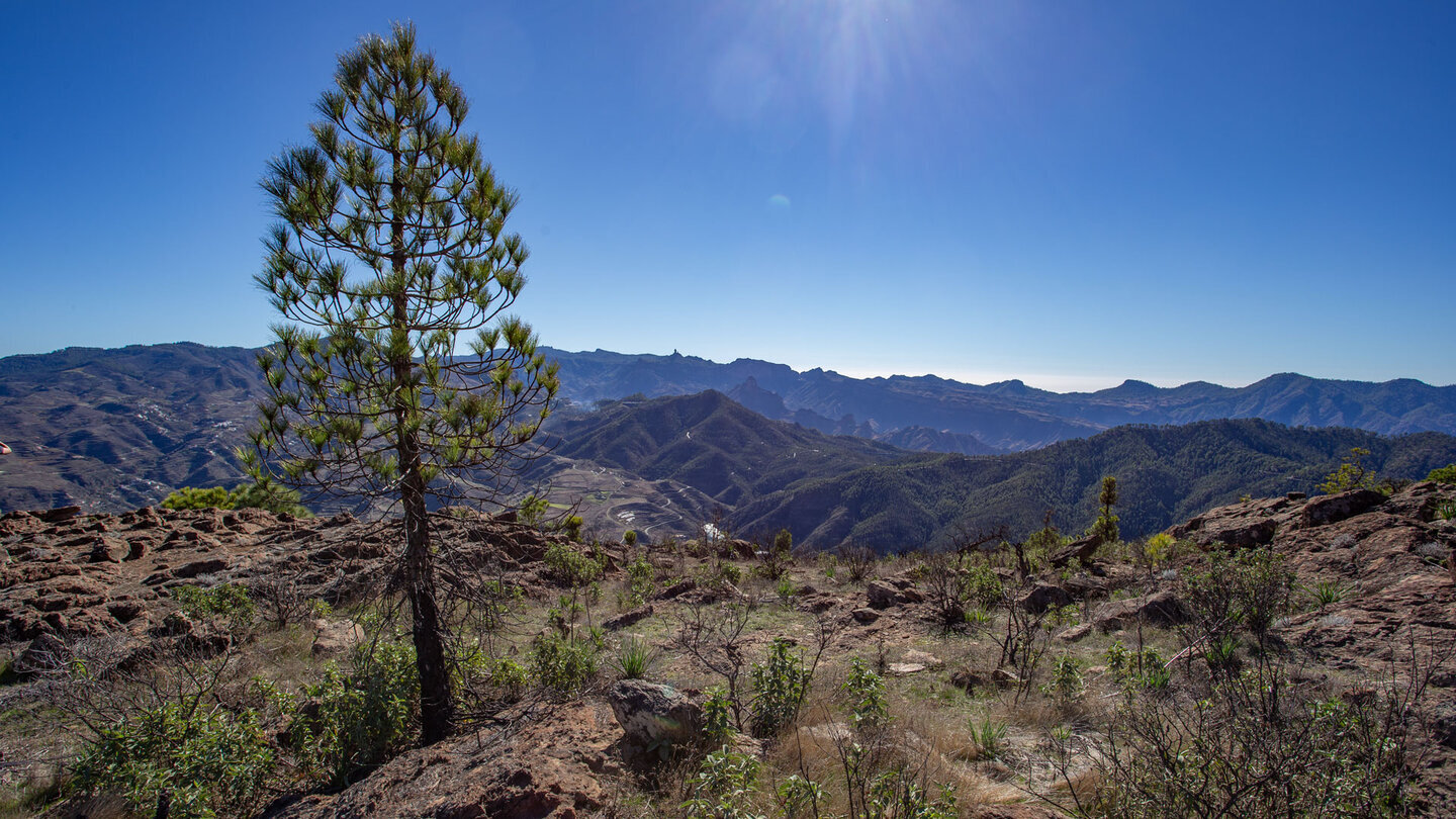 Das Panorama von den Gipfeln des Tamadaba zeigt die weite Berglandschaft Gran Canarias.