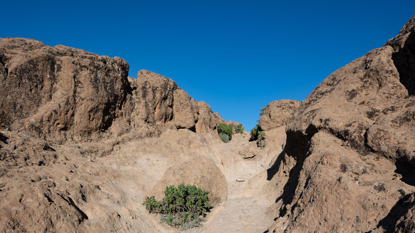 Über schroffen Untergrund zieht sich der Wanderpfad hinauf zum Felsplateau des Roque Nublo