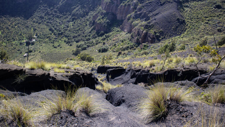 Der Wanderweg schlängelt sich über dunkle Lapilliflächen zum Grund der Caldera de Bandama.