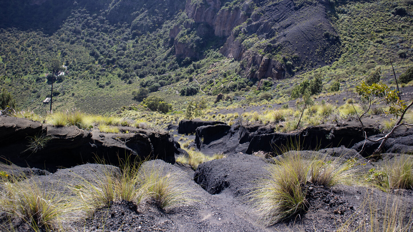 Der Wanderweg schlängelt sich über dunkle Lapilliflächen zum Grund der Caldera de Bandama.
