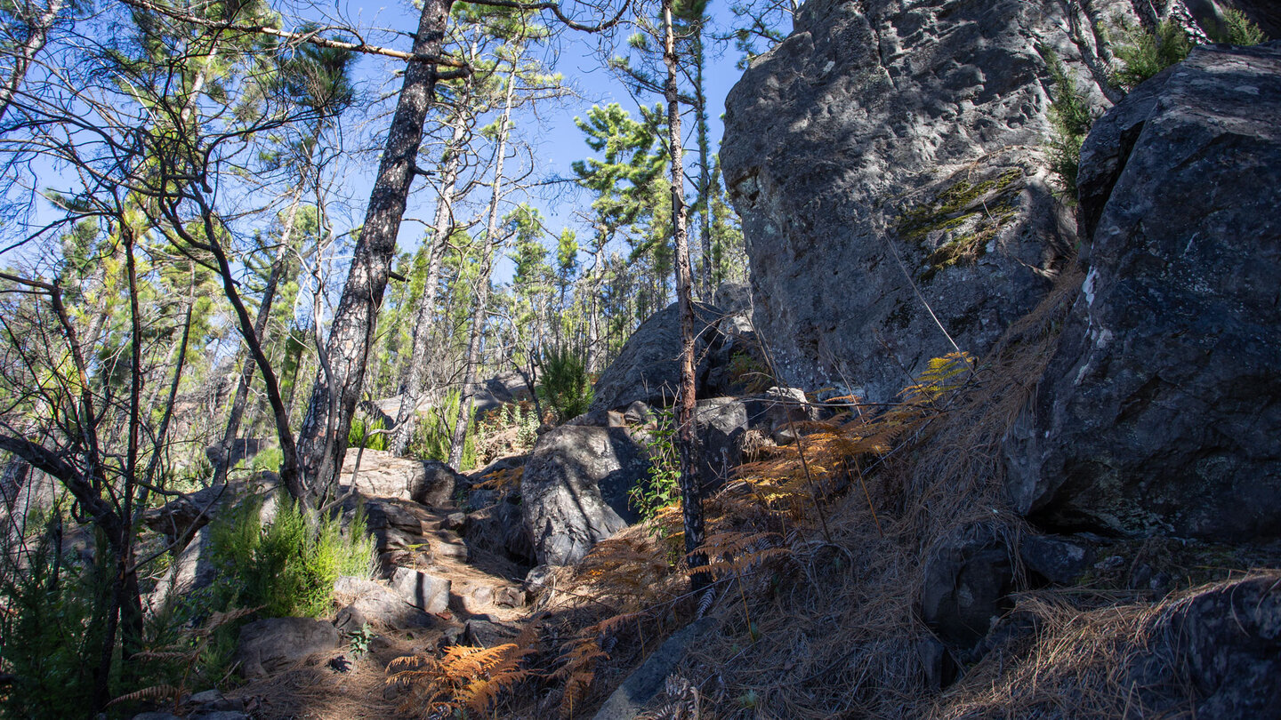 Wanderweg vom Rastplatz Llanos de la Mimbre zum Roque de Faneque.