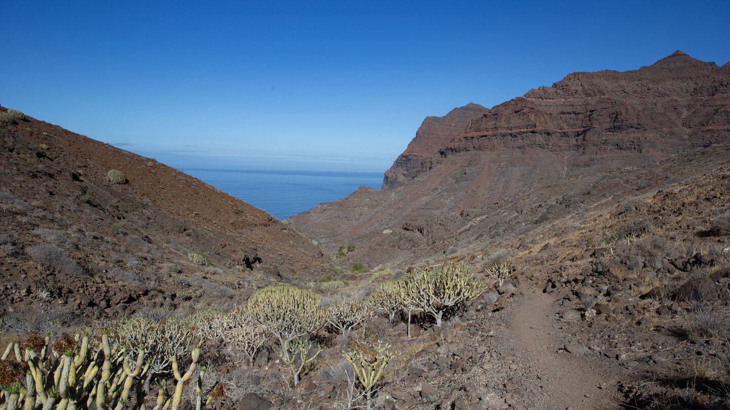 Die Reserva Natural Especial de Güigüí bewahrt eine der ursprünglichsten Landschaften Gran Canarias.