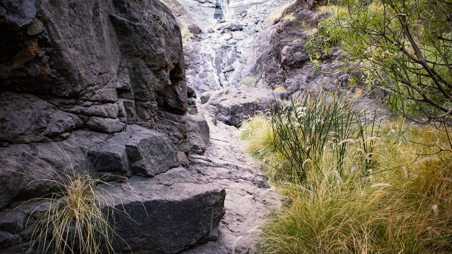 Spektakuläre Felsschlucht entlang der Wanderroute zum Charco Azul.