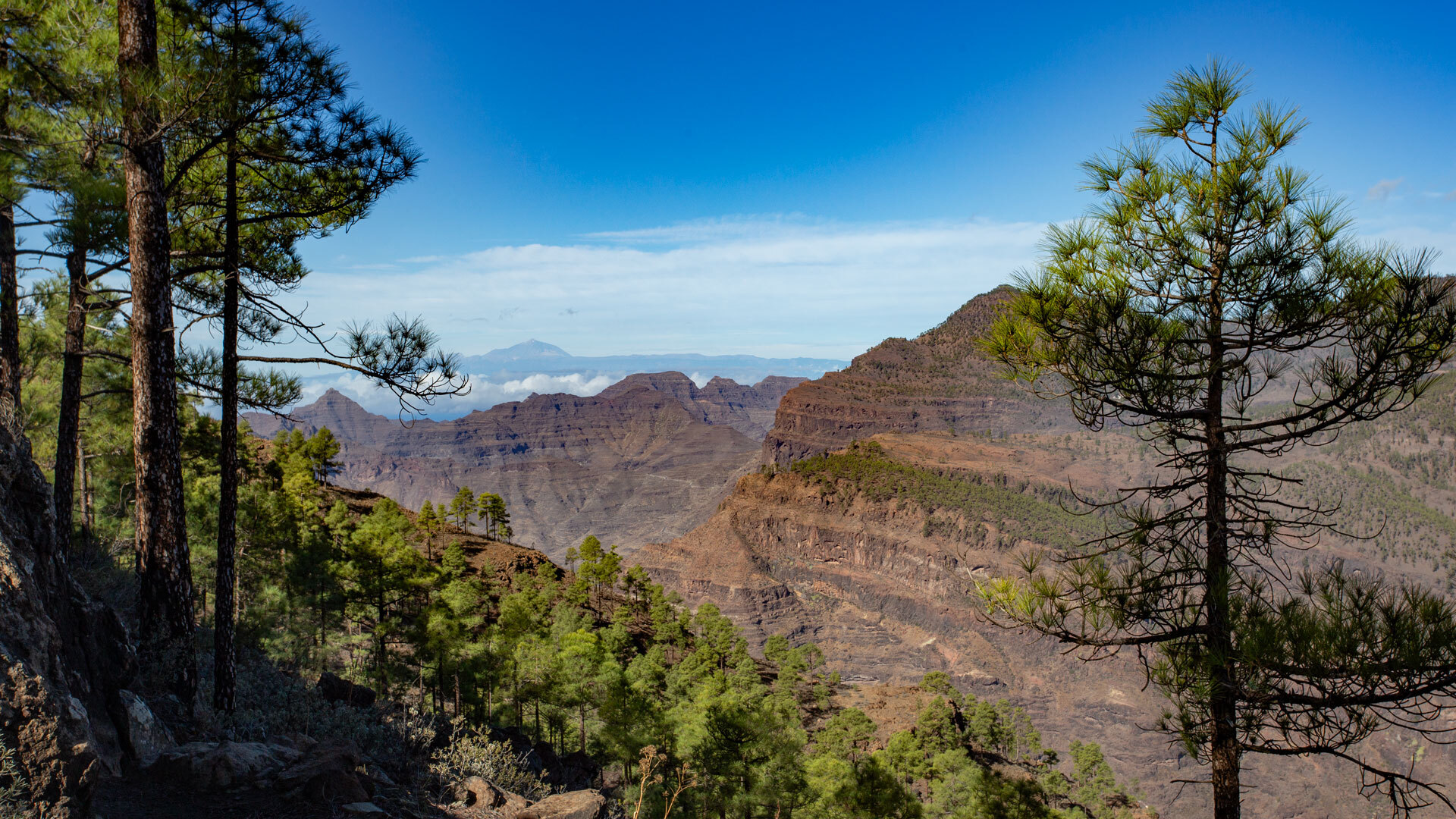 Die Wanderung am Tauro bietet bei klarer Sicht einen Blick auf die Nachbarinsel Teneriffa am Horizont.