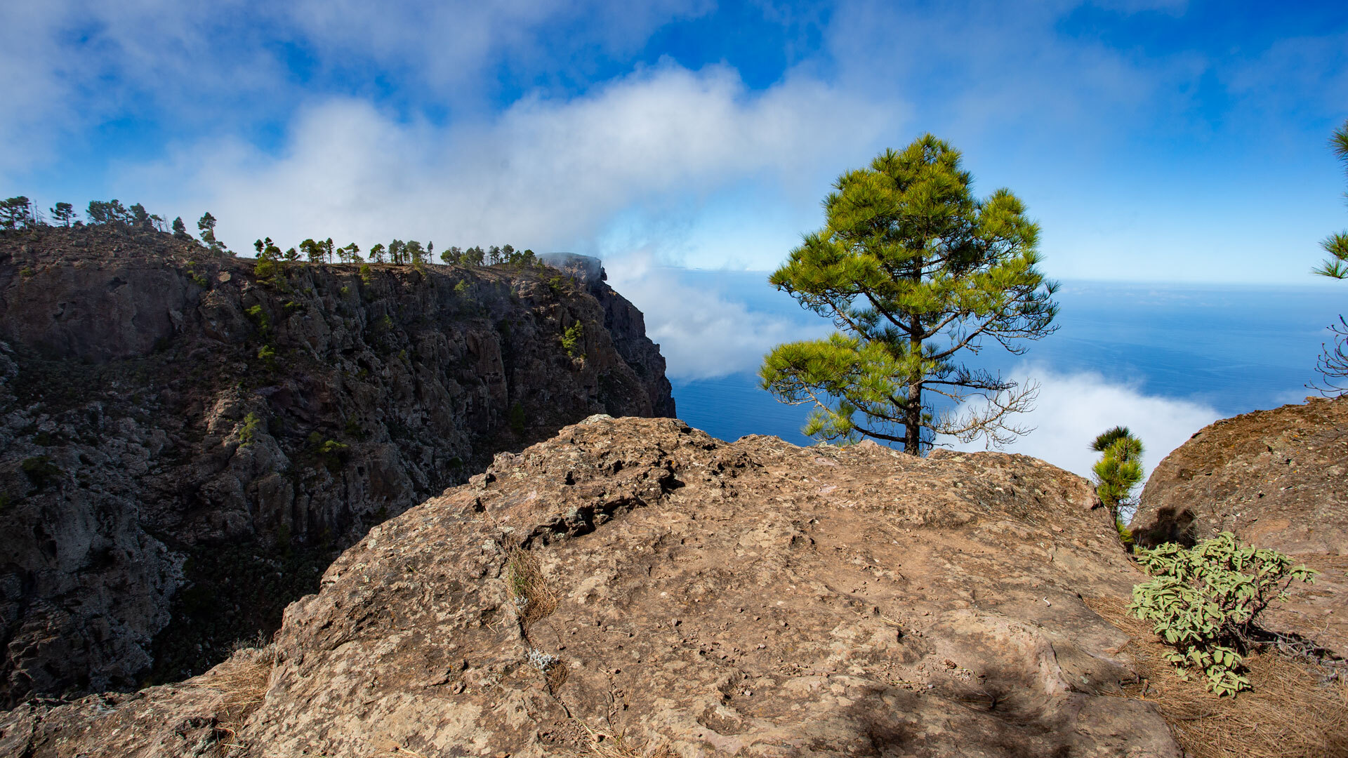 Blick vom Morro de las Lechugas auf den Roque Faneque.