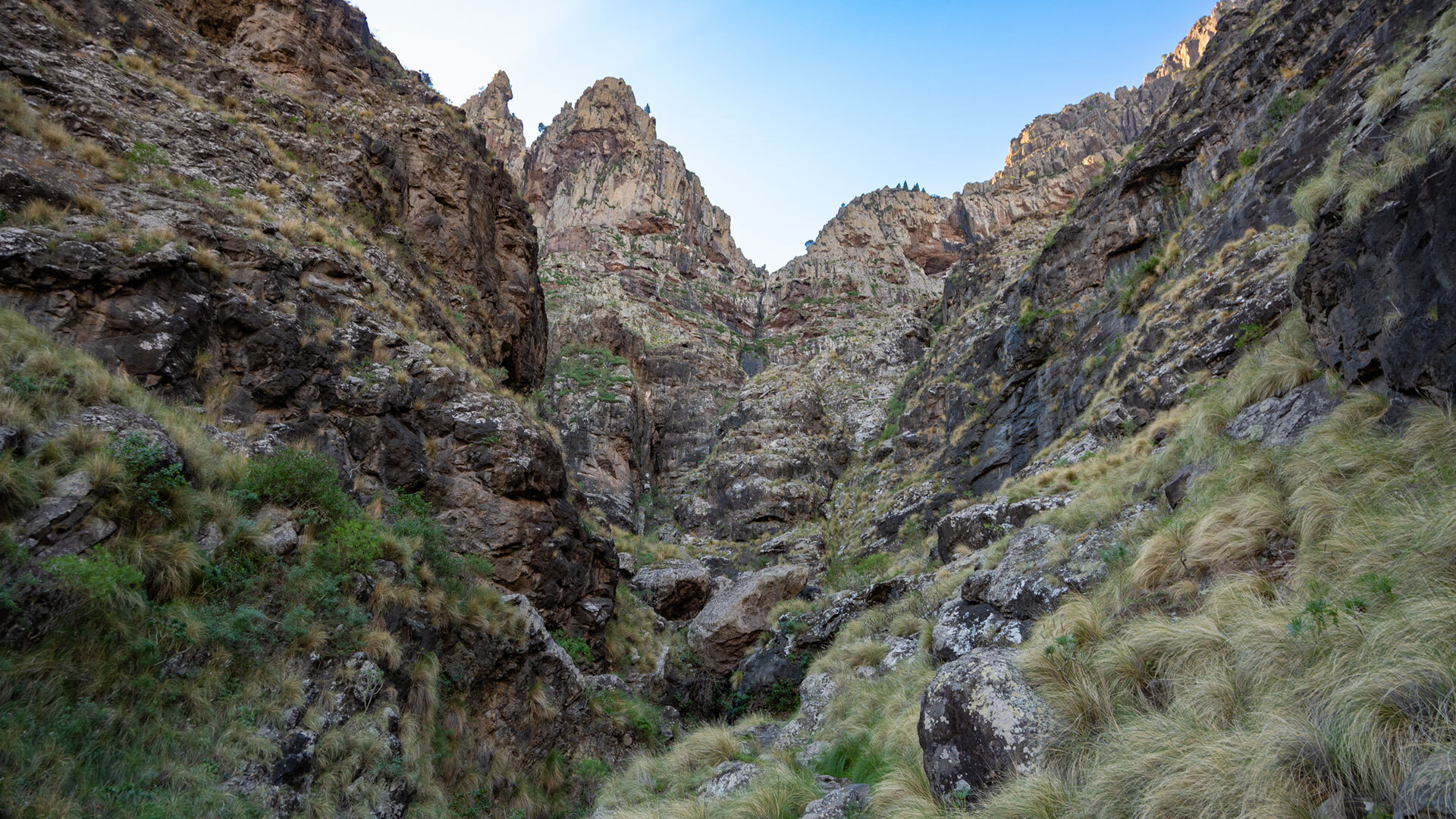 Der Barranco del Chorro del Ingenio schneidet sich tief in die Landschaft – schroffe Wände und dichtes Grün.