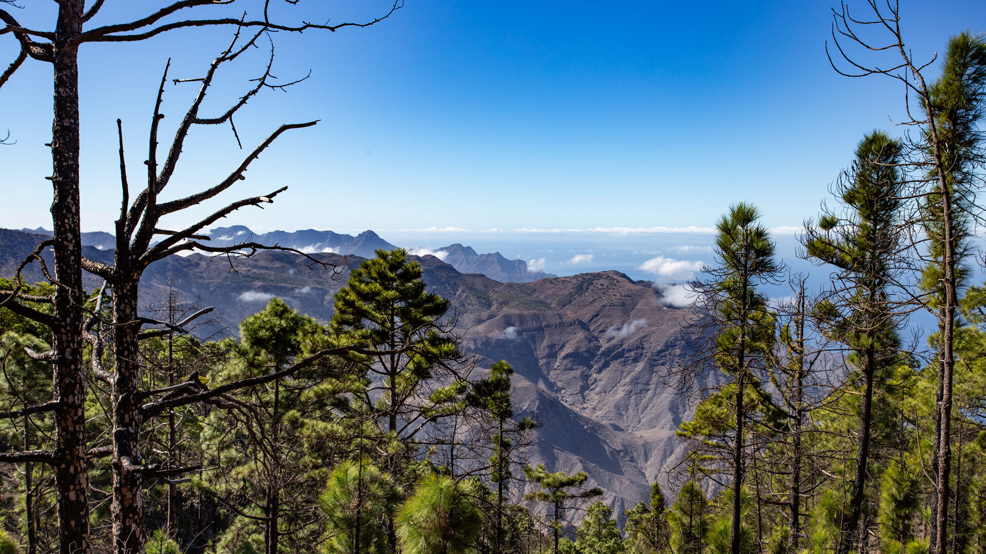 Die Berglandschaft des Tamadaba öffnet den Blick zur Westküste Gran Canarias.