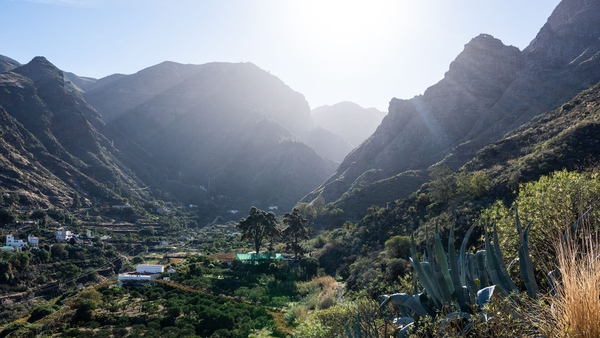 Der Blick in die Agaete-Schlucht öffnet sich weit über grüne Terrassen und schroffe Hänge – ein Panorama, das die ganze landschaftliche Vielfalt Gran Canarias zeigt.