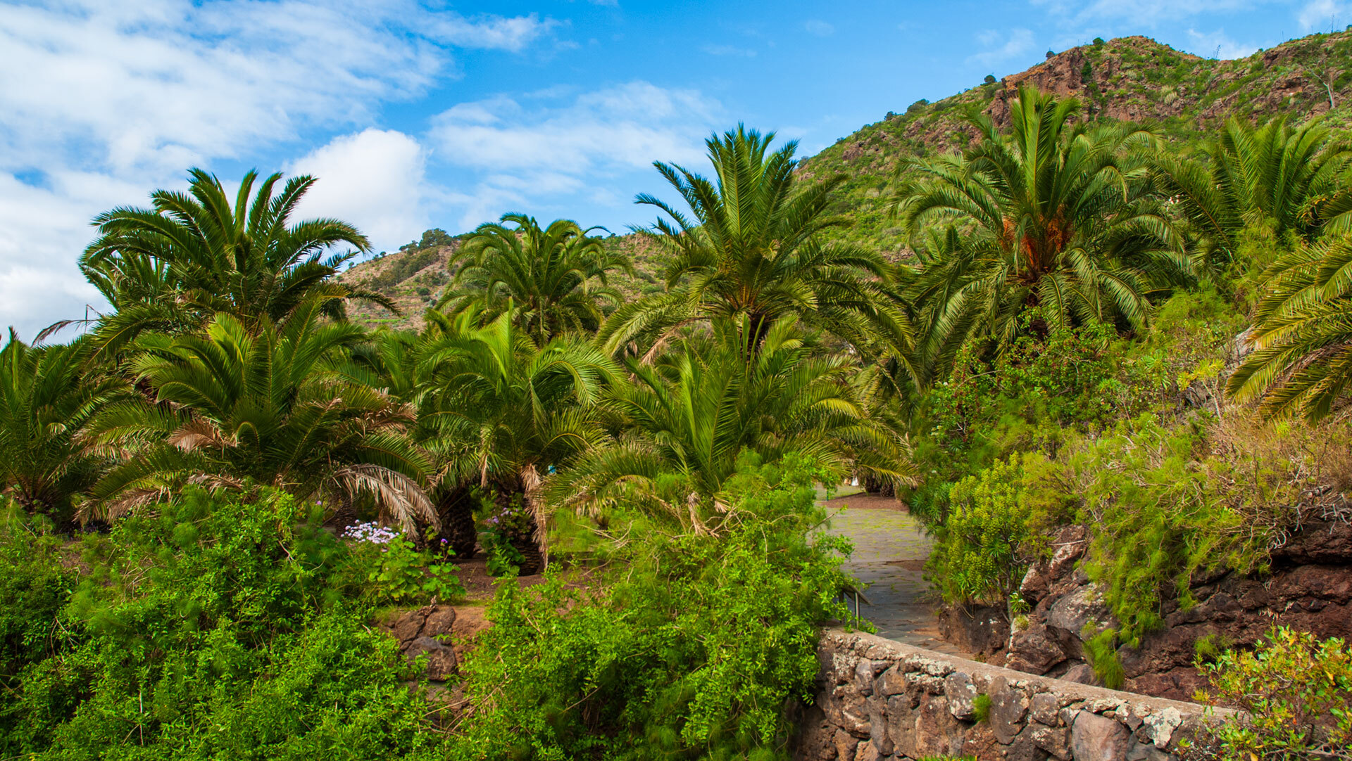 Jardín Canario auf Gran Canaria