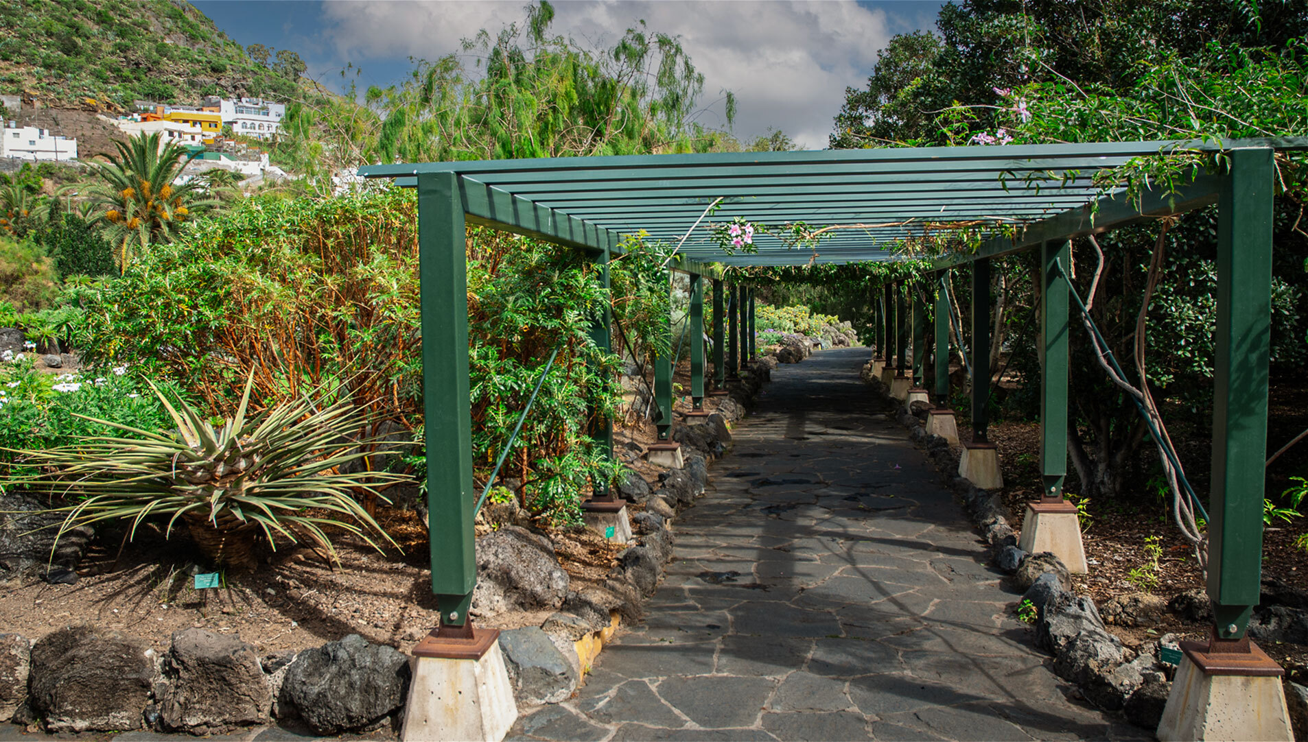 Jardín Canario auf Gran Canaria