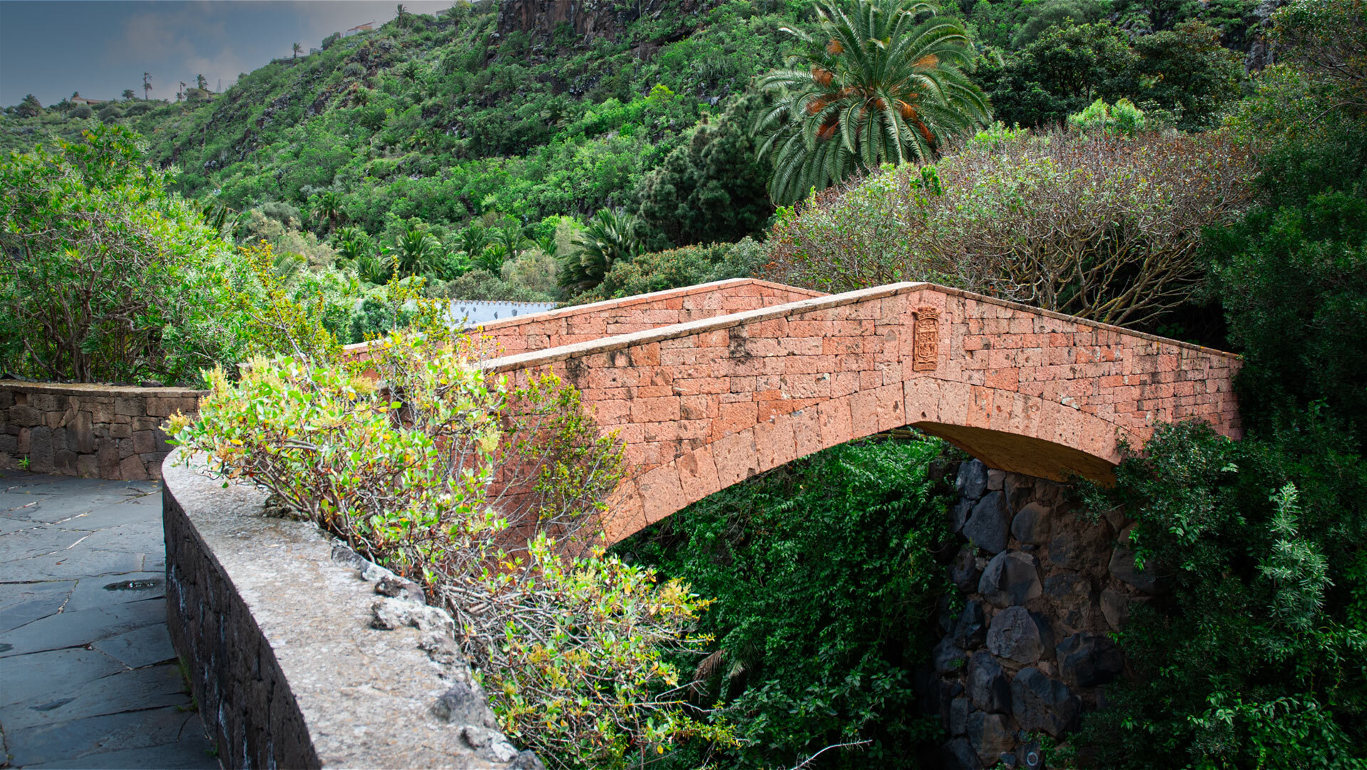 Der Barranco de Guiniguada bettet den Jardín Canario in grüne Schluchtwände
