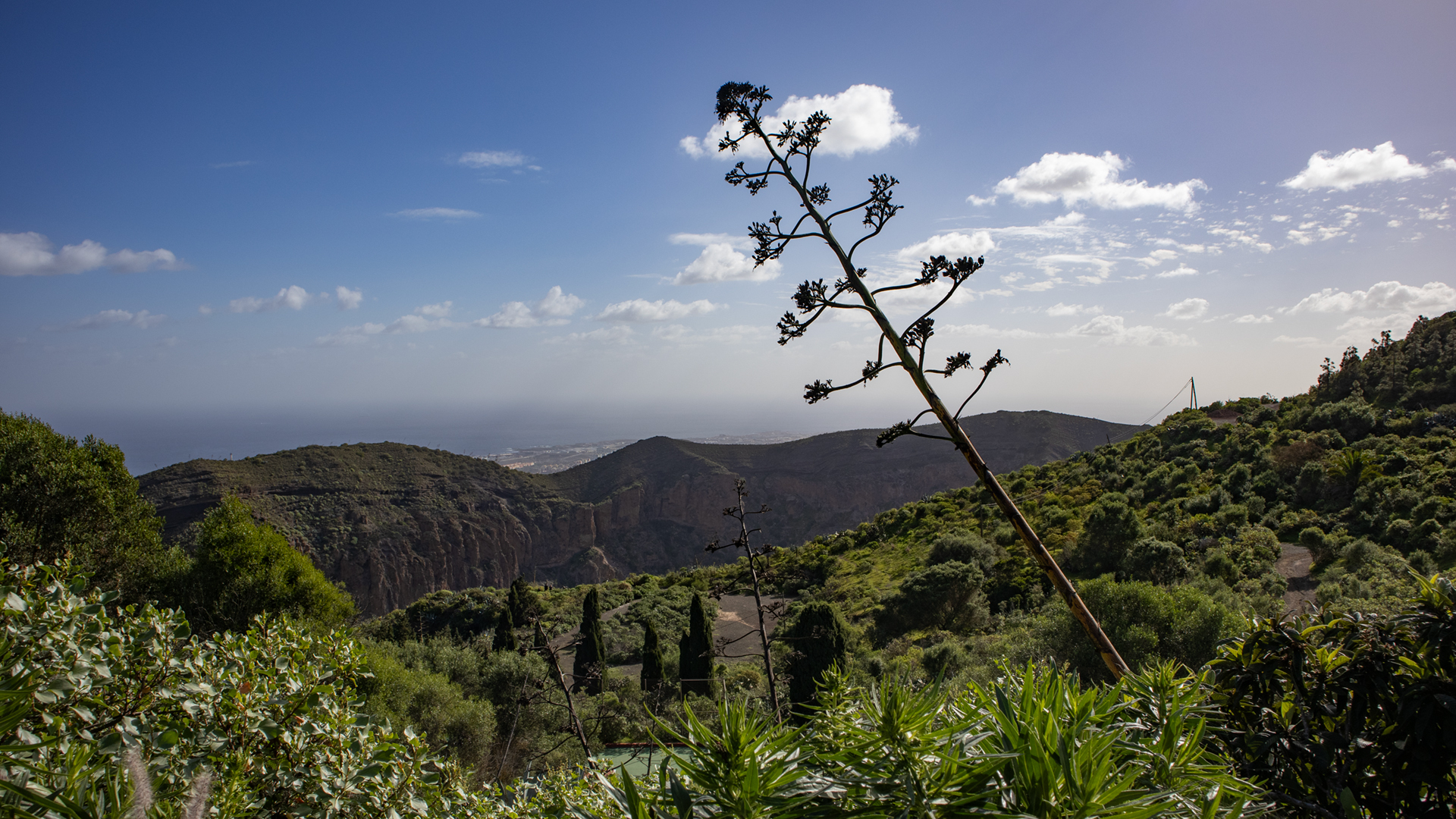 Der Blick über die Caldera de Bandama reicht bis zum Atlantik