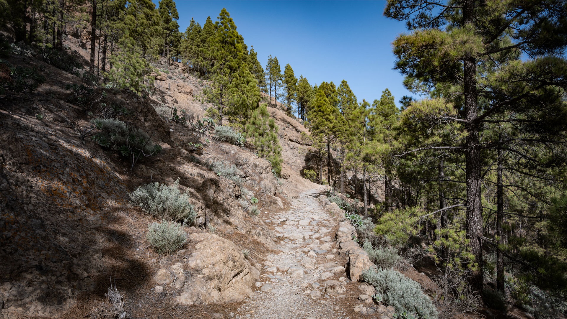 Wanderung entlang des Camino de la Plata.