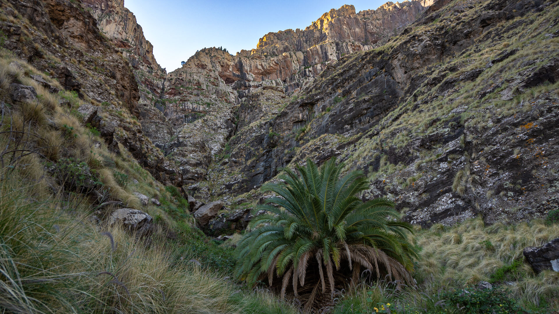 Die Cañada de Cho Marcos zieht sich still durch die Berglandschaft Gran Canarias