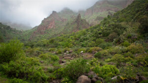 Der Barranco de Guayadeque zeigt eine zerklüftete Felslandschaft im Osten Gran Canarias.