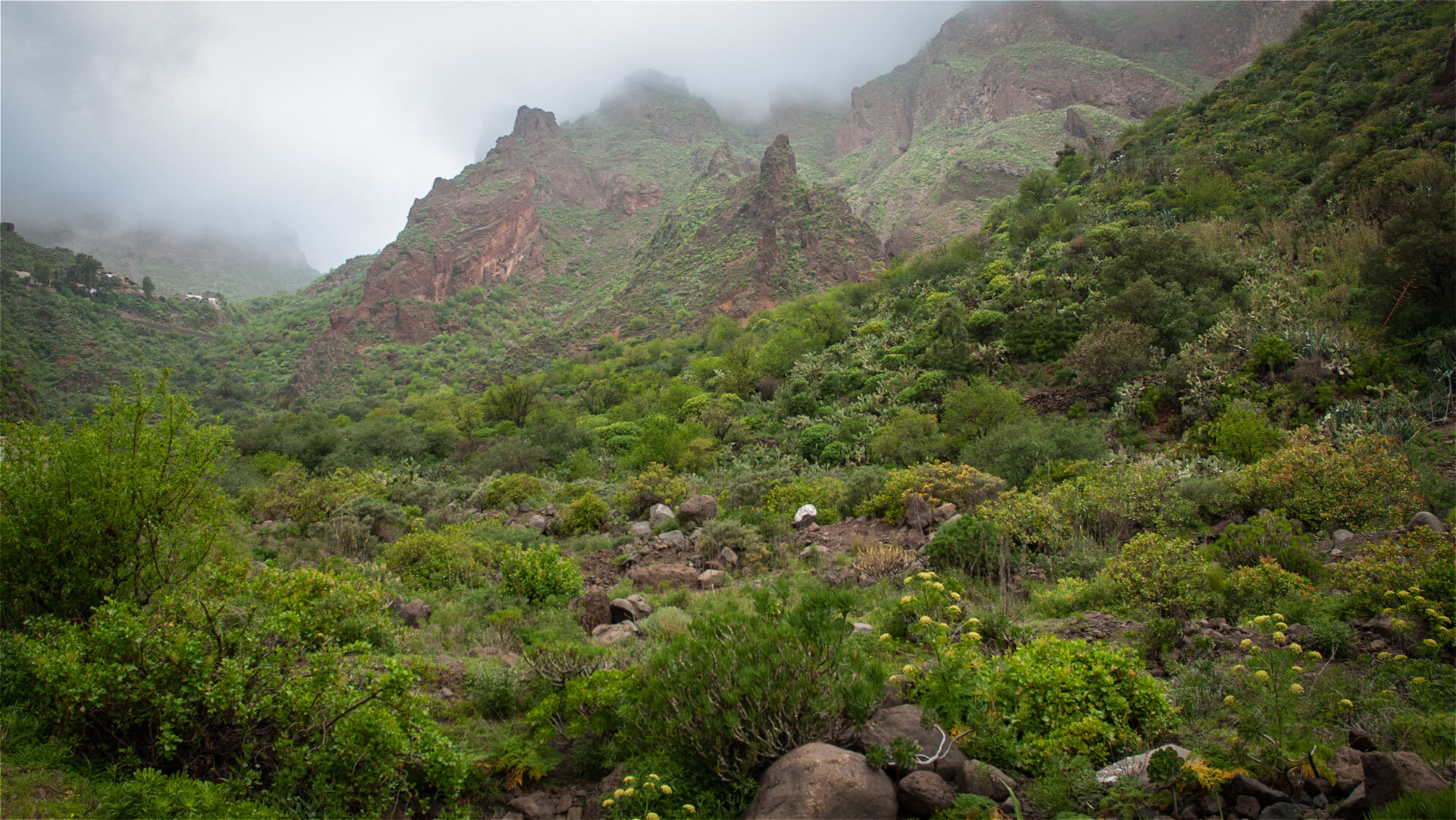 Der Barranco de Guayadeque zeigt eine zerklüftete Felslandschaft im Osten Gran Canarias.